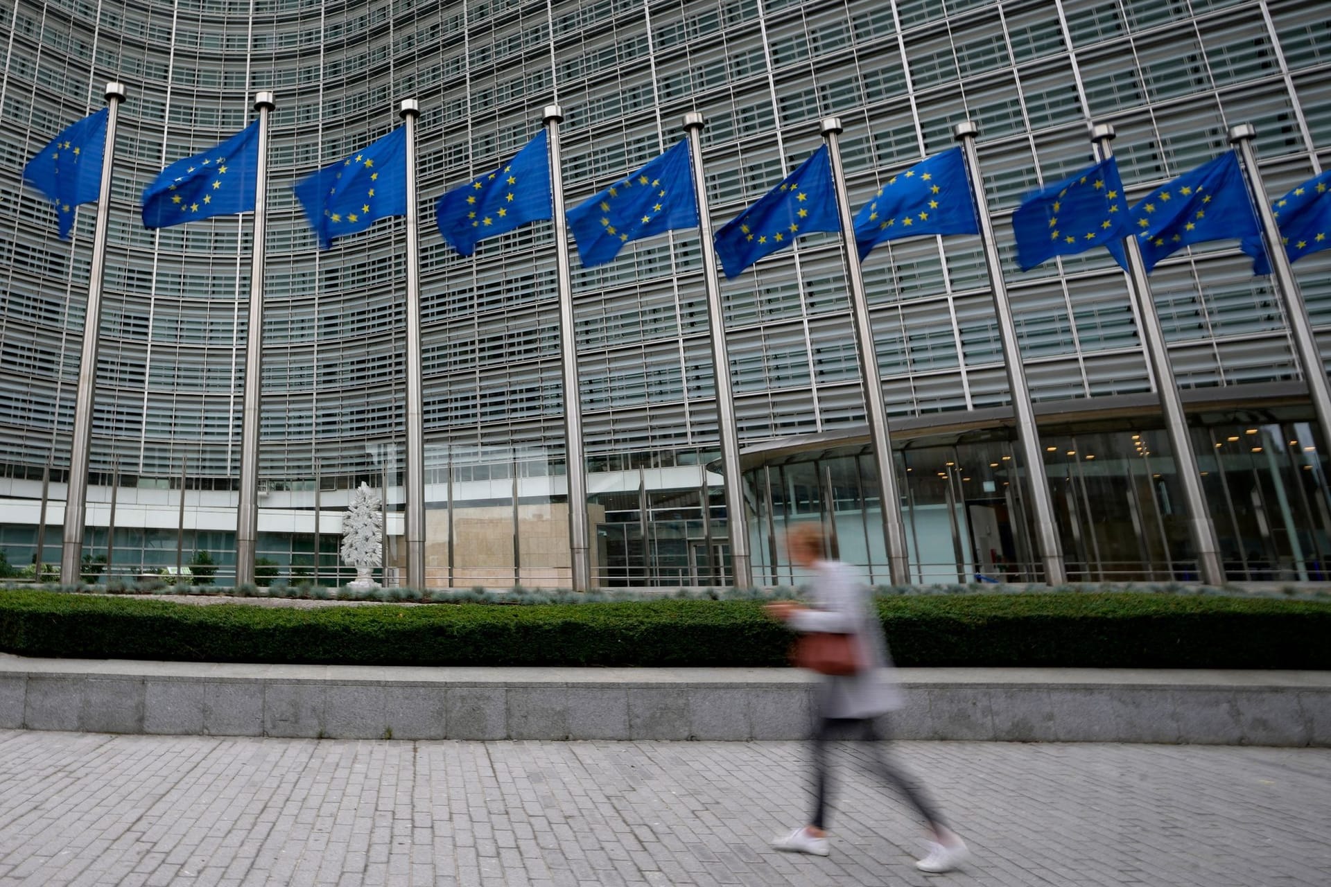 EU-Fahnen