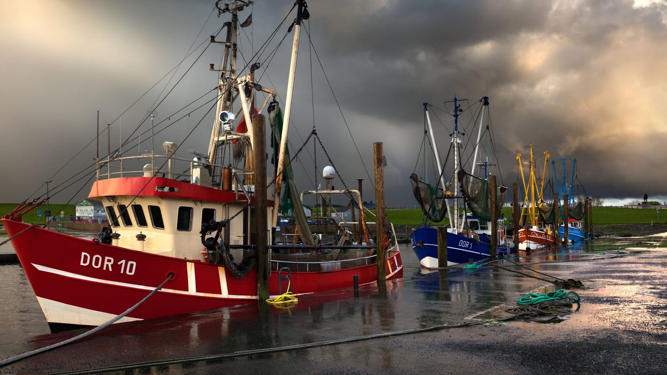 Dunkle Wolken ziehen über Fischkuttern an der Nordsee auf (Archivfoto): Die Branche kämpft um ihre Zukunft.