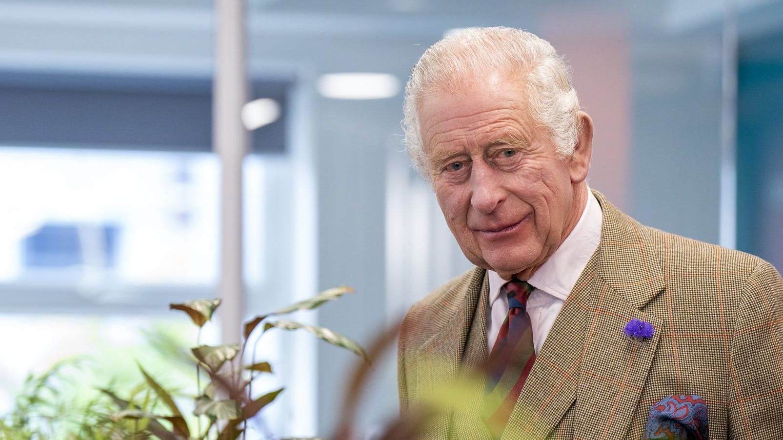 Charles: Der König hat Probleme mit der Prostata.