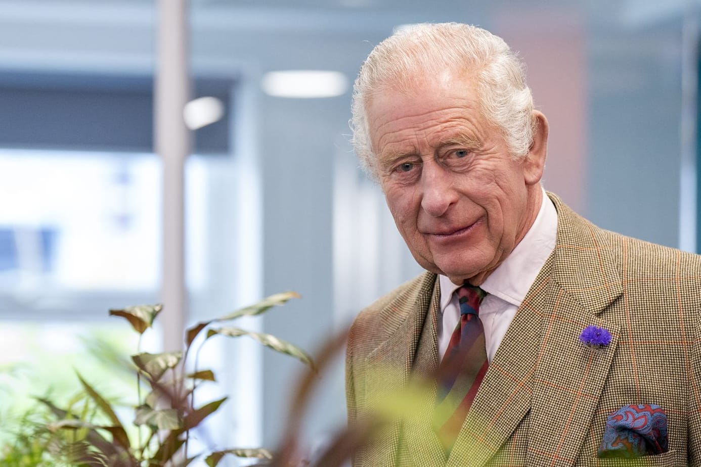 Charles: Der König hat Probleme mit der Prostata.
