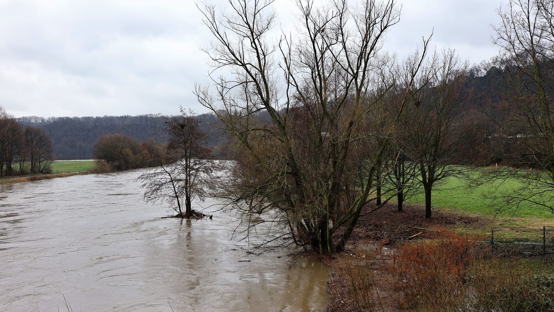 Hochwasser auf der Ruhr in Witten-Herbede: Der Dauerregen hat den Pegel der Ruhr steigen lassen.