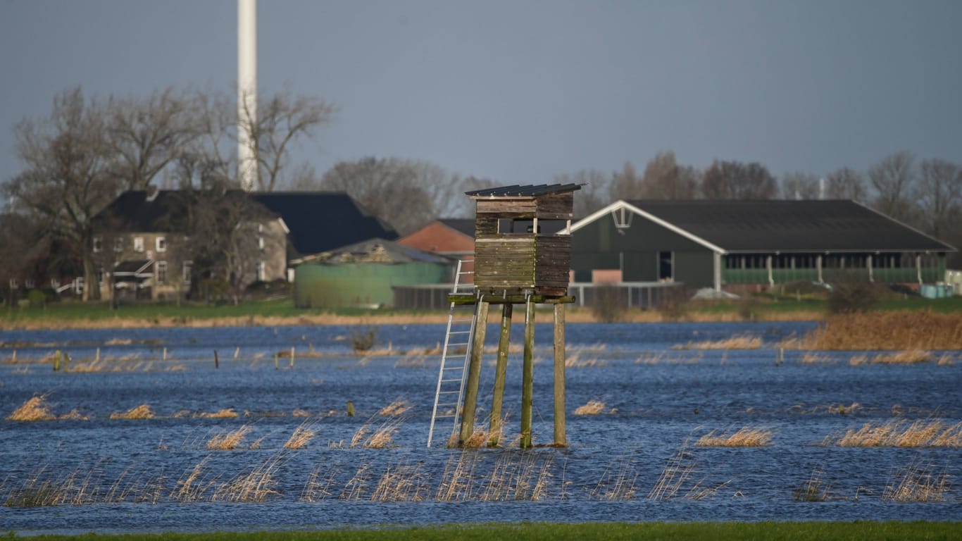 Überflutete Äcker bei Emmerich in Nordrhein-Westfalen Germany: Wintergetreide würde laut Landwirten "ersticken" Meyer, wenn es etwa zehn Tage unter Wasser ist.