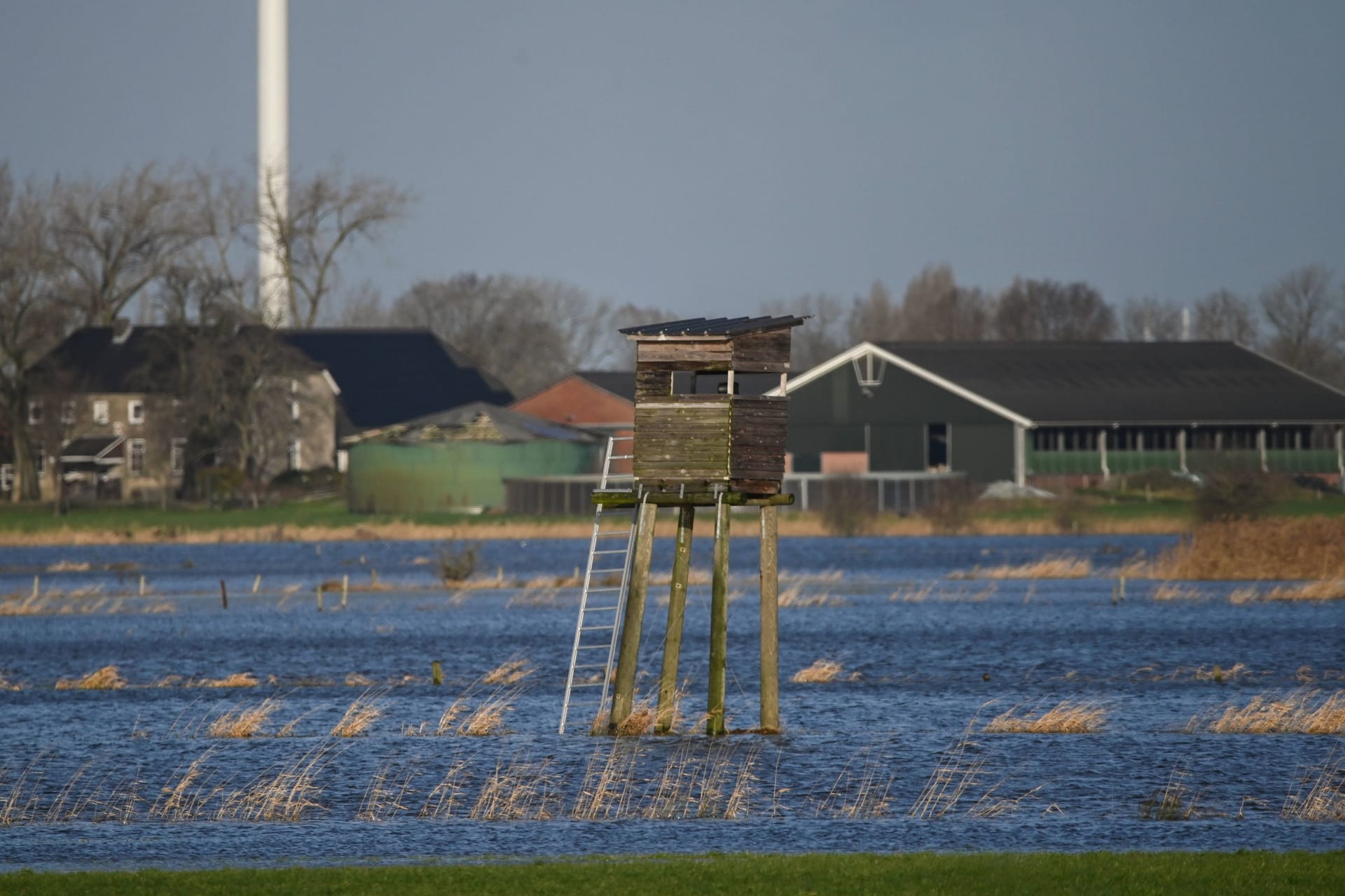 Überflutete Äcker bei Emmerich in Nordrhein-Westfalen Germany: Wintergetreide würde laut Landwirten "ersticken" Meyer, wenn es etwa zehn Tage unter Wasser ist.