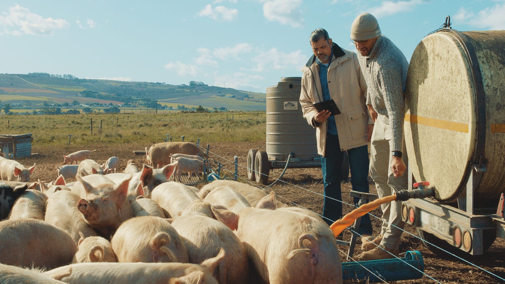 Zwei Landwirte begutachten ihre Außentierhaltung.