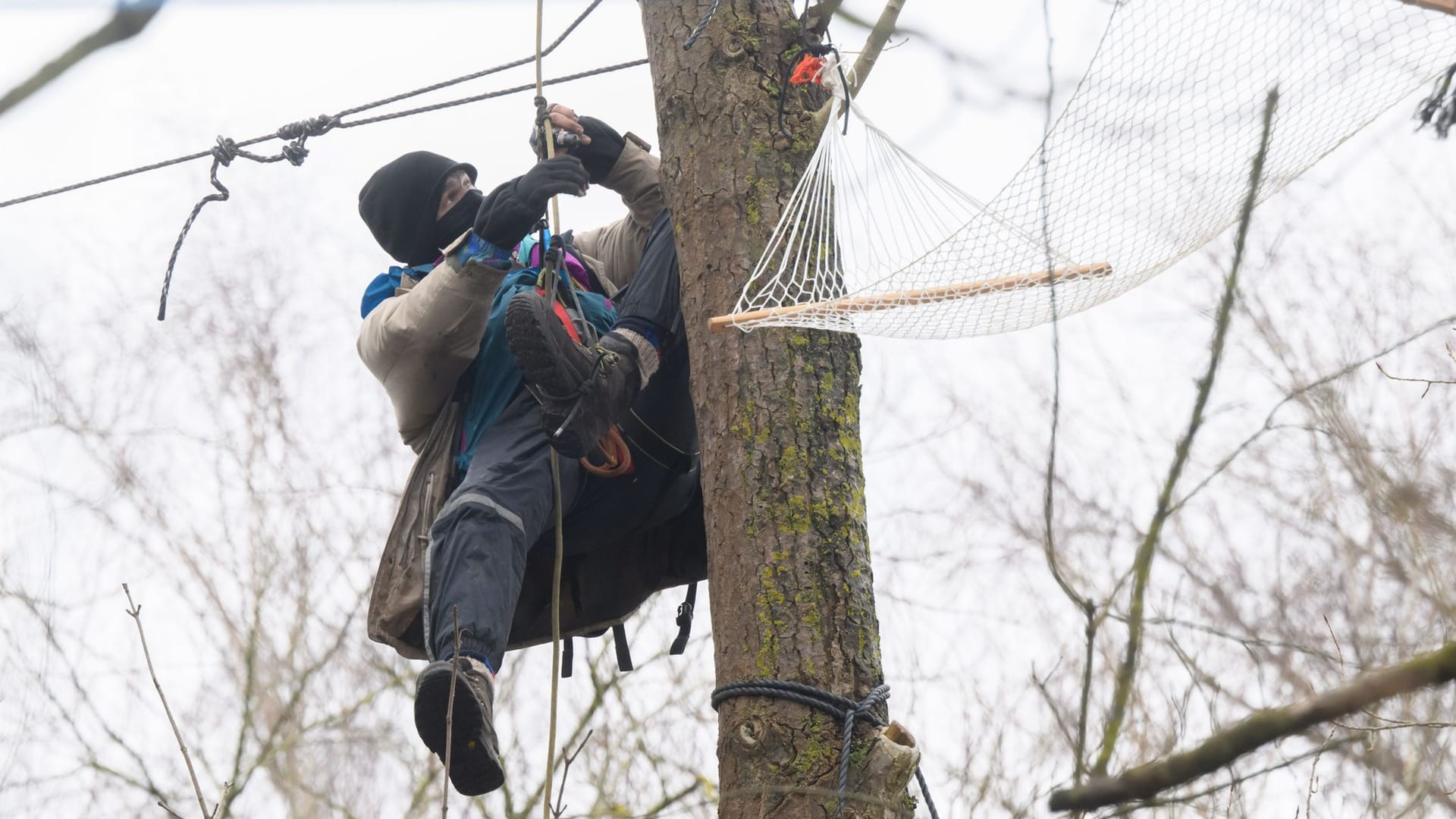 Ein Aktivist hängt in einem Baum im Protestcamp "Tümpeltown" am Südschnellweg.