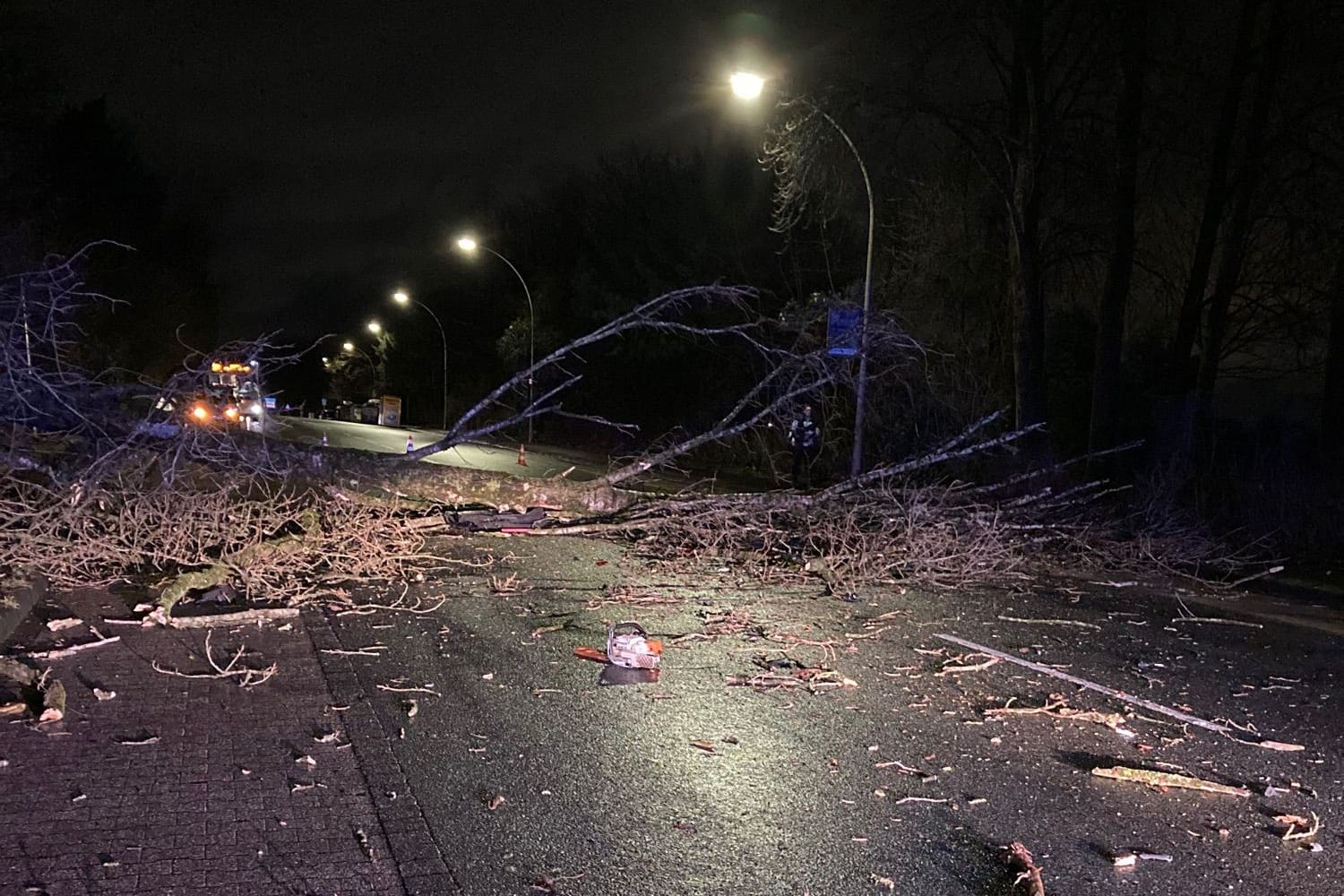 Die Unfallstelle: Ein Baum ist am Mittwochmorgen auf die Fahrbahn auf der Pferdebachstraße gefallen und traf dabei einen Pkw.