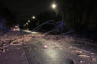 Die Unfallstelle: Ein Baum ist am Mittwochmorgen auf die Fahrbahn auf der Pferdebachstraße gefallen und traf dabei einen Pkw.