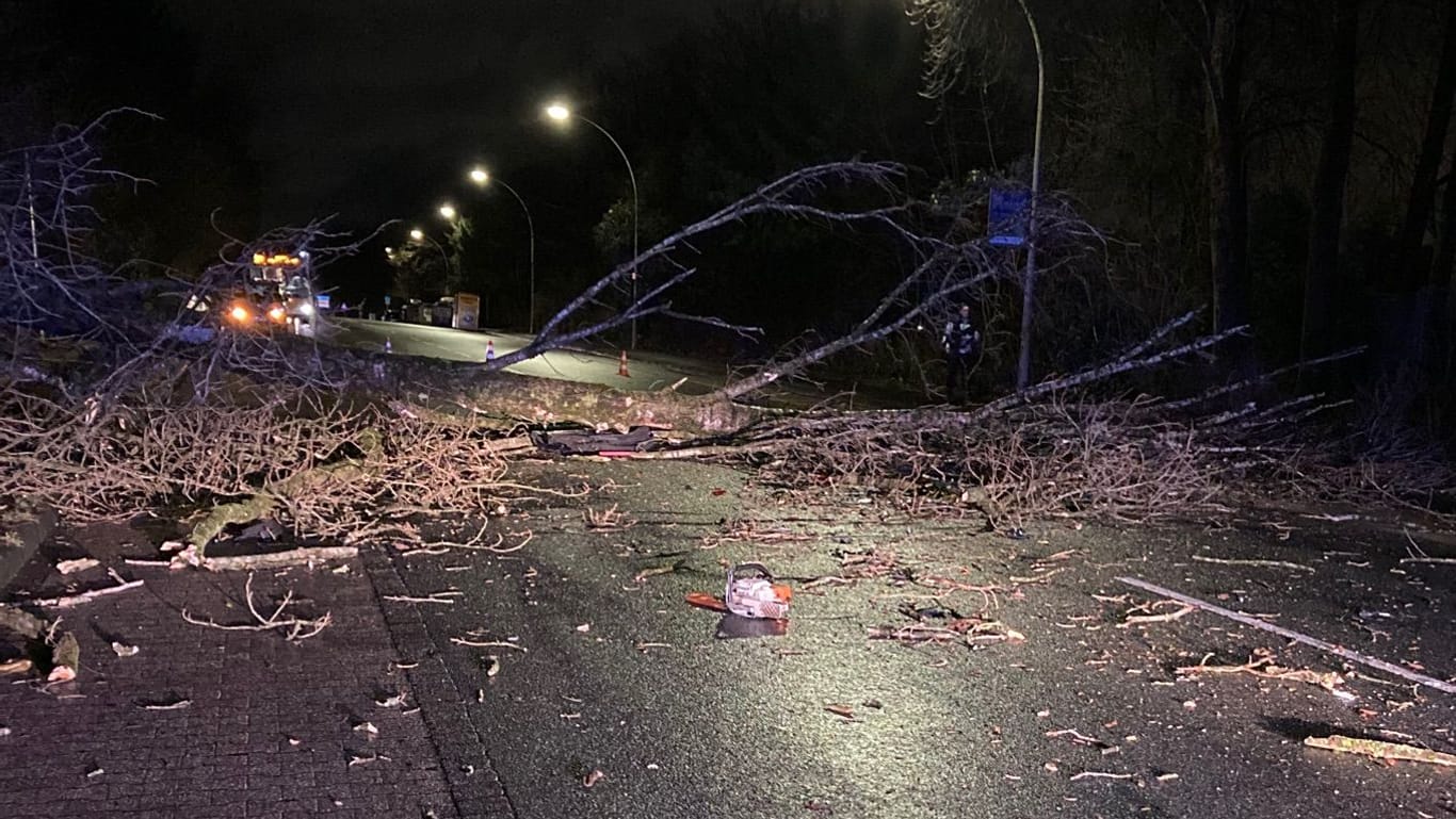 Die Unfallstelle: Ein Baum ist am Mittwochmorgen auf die Fahrbahn auf der Pferdebachstraße gefallen und traf dabei einen Pkw.
