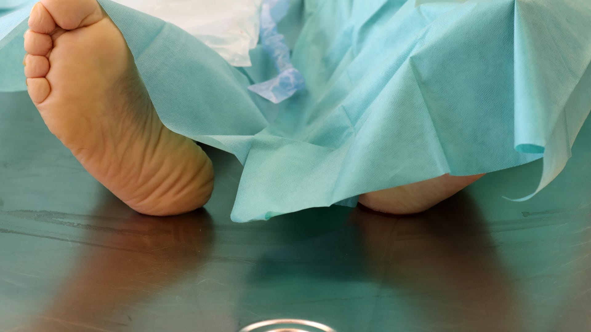 Pathologie Pathologie