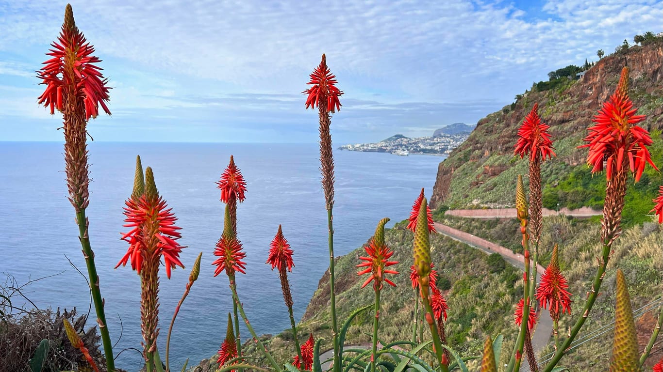 Aussichtspunkt auf Madeira: Das Reiseziel ist auch außerhalb der Hauptsaison schön.