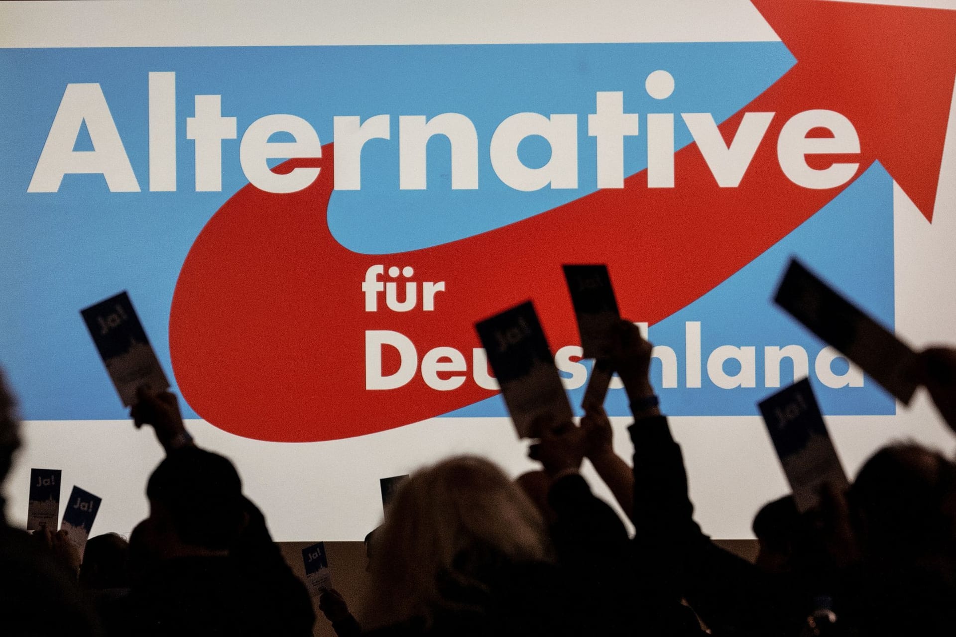 AfD verzeichnet Mitgliederzuwachs