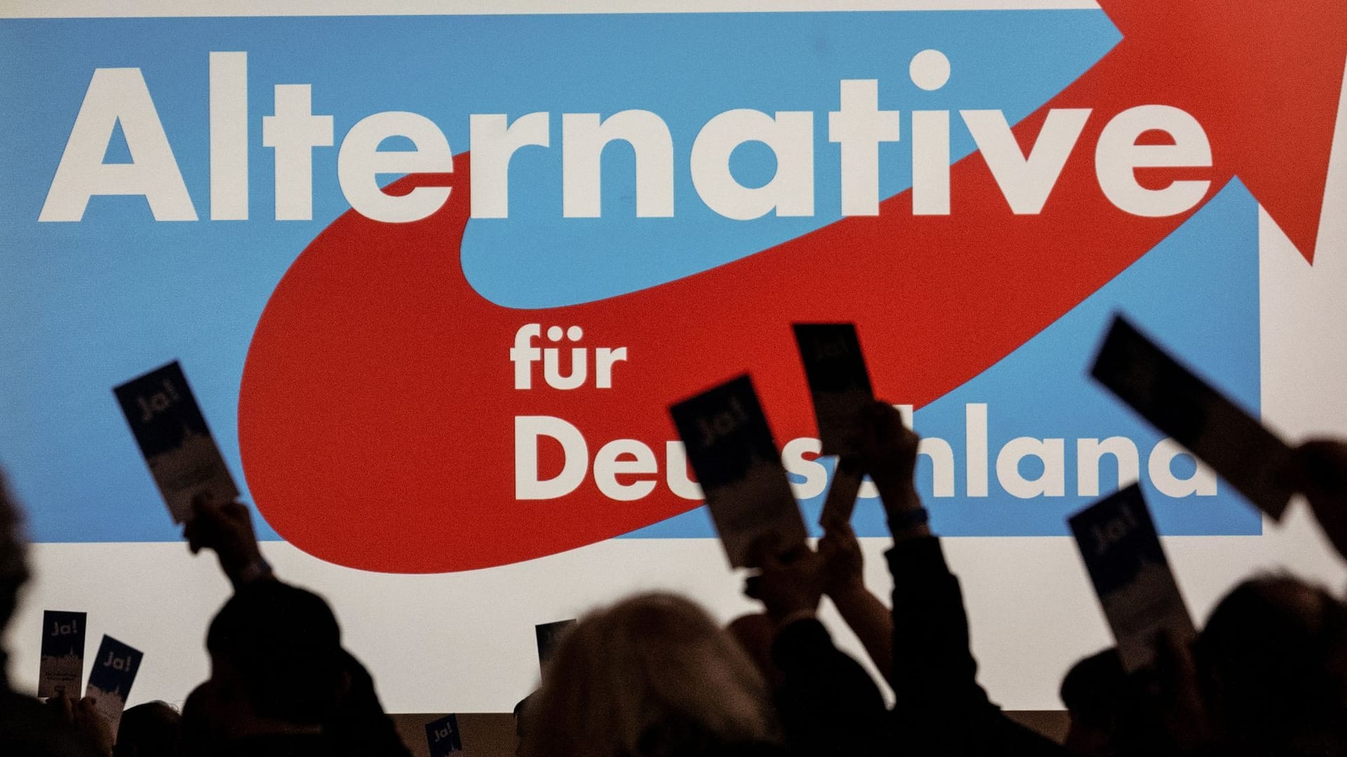 AfD verzeichnet Mitgliederzuwachs