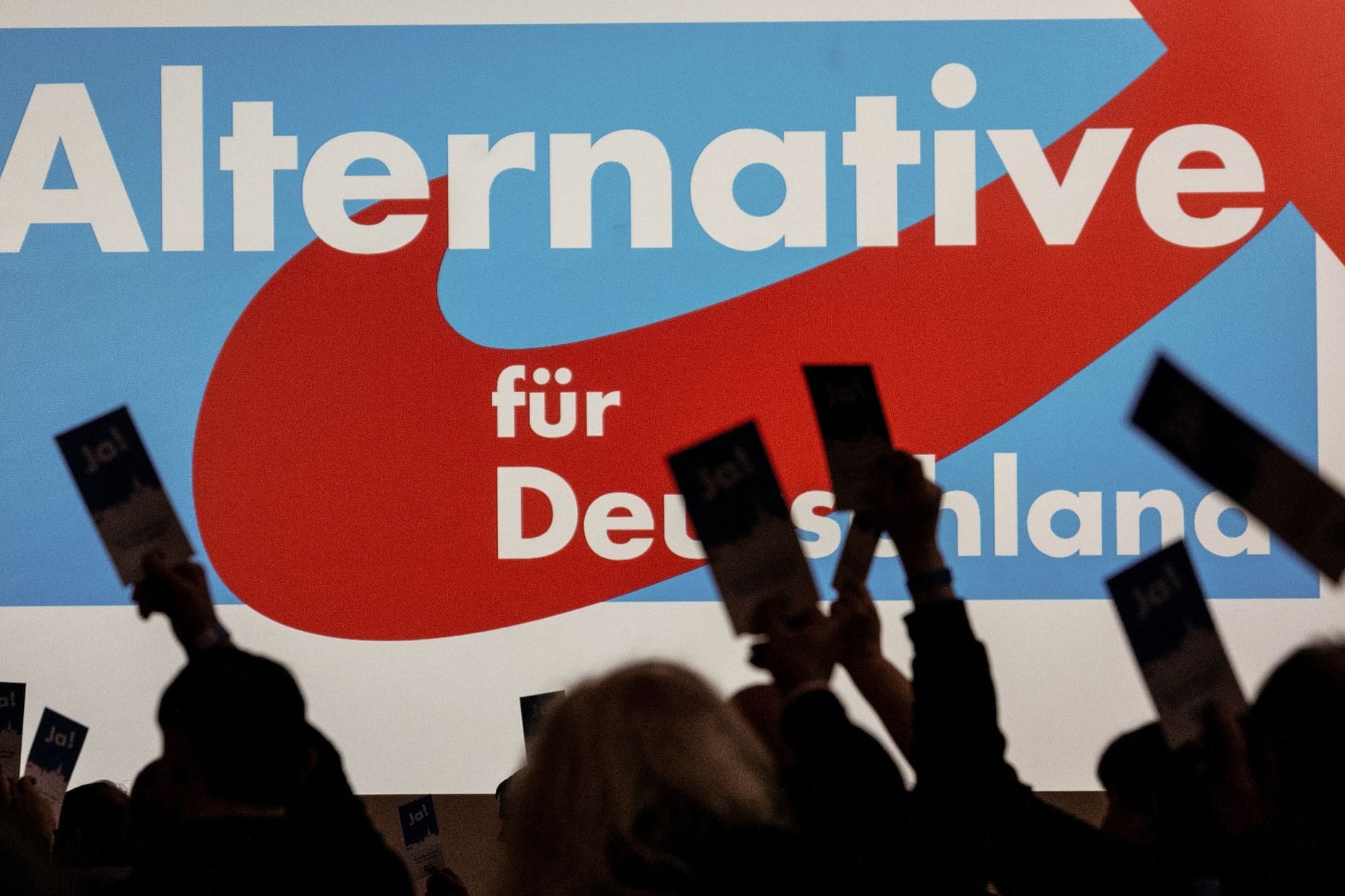 AfD verzeichnet Mitgliederzuwachs