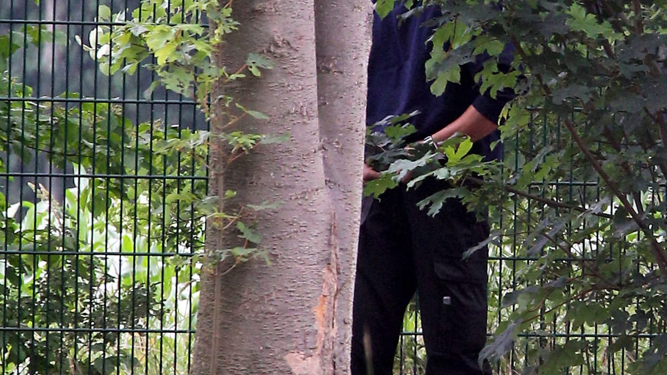 Ein Mann pinkelt an einen Baum (Symbolbild): Der Autofahrer muss nun mit Konsequenzen rechnen.