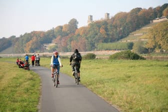 Fahrradfahrer auf dem Elberadweg (Symbolbild): Eine Teilsperrung des Elberadwegs sei aus Sicherheitsgründen verworfen worden.