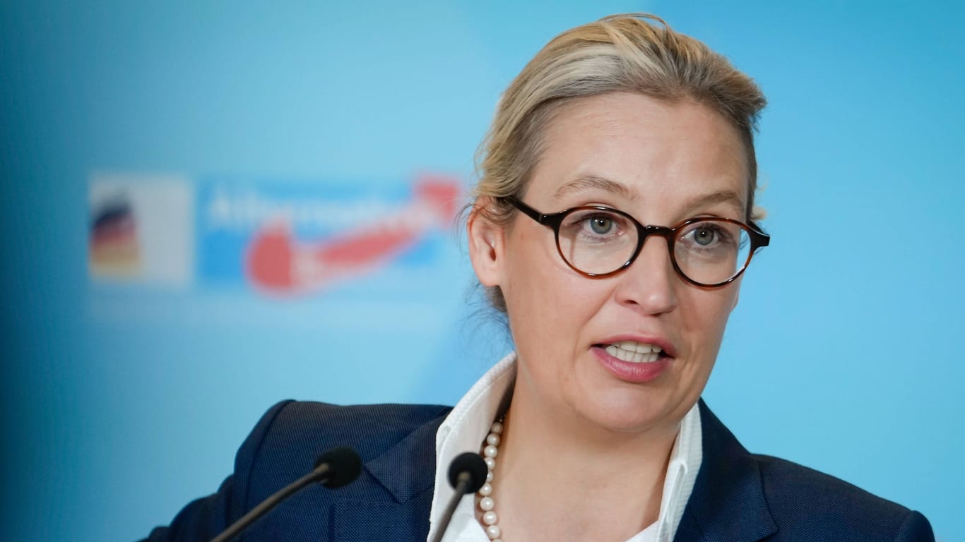 AfD-Chefin Alice Weidel: Ihre Partei könnte bei entsprechenden Wahlergebnissen bereits in der Opposition Einfluss auf die deutsche Justiz nehmen.