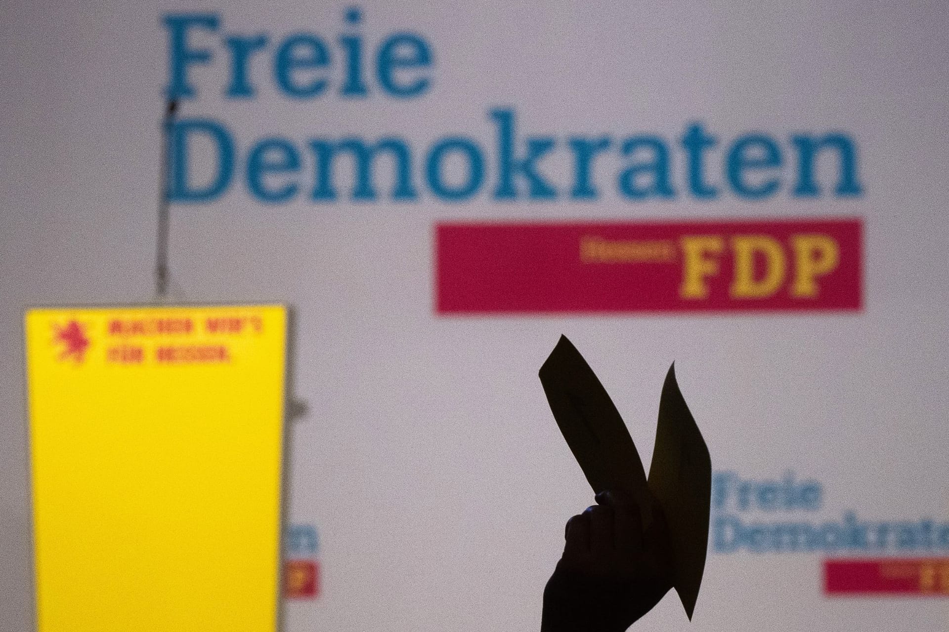 FDP