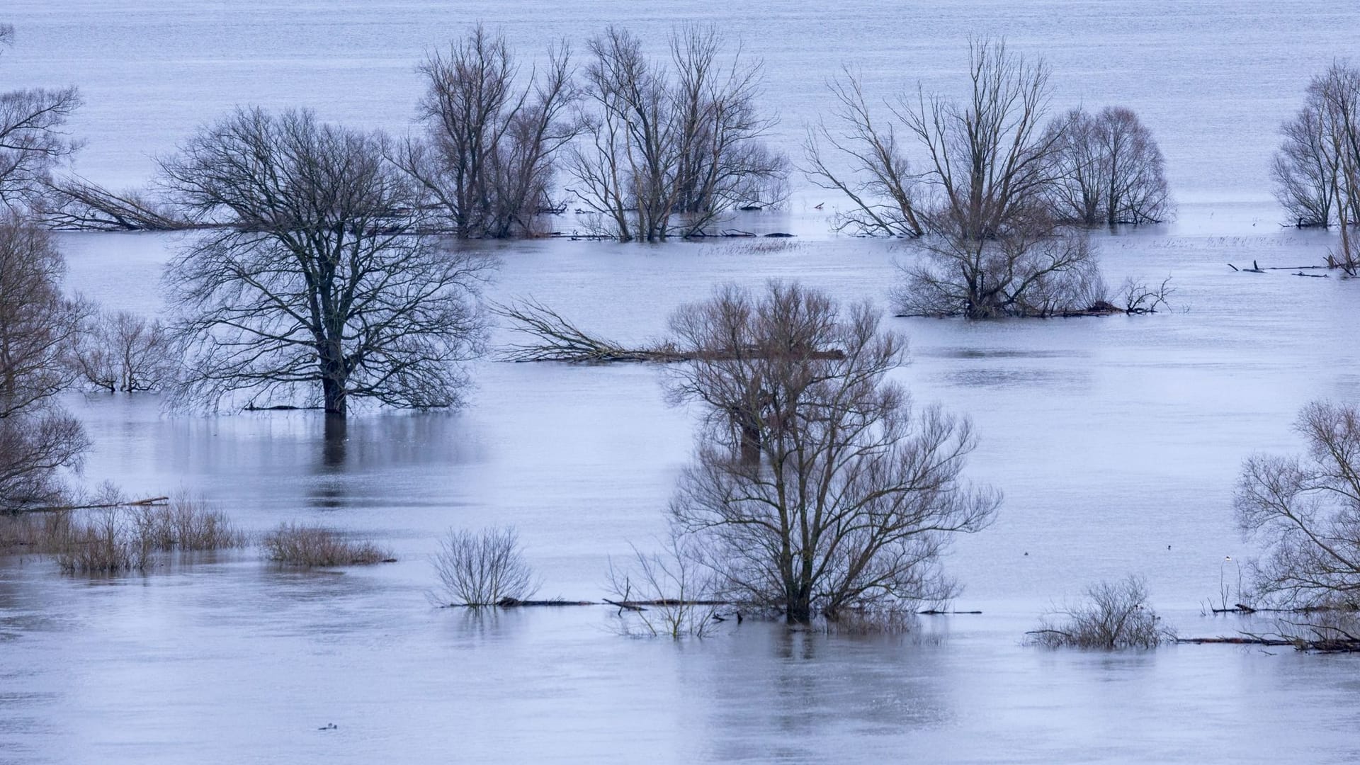 Hochwasser in Mecklenburg-Vorpommern Hochwasser in Mecklenburg-Vorpommern