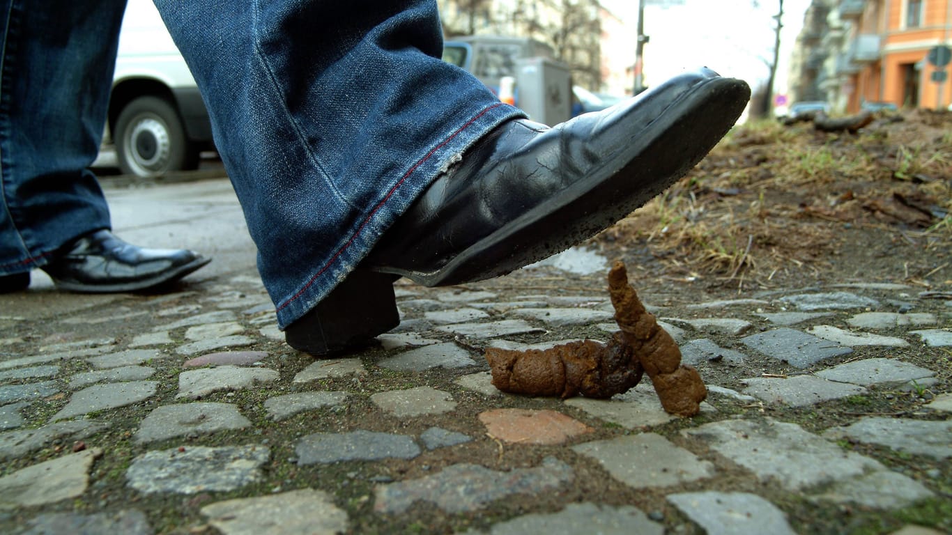 Ein Fuß tritt in einen Hundehaufen (Symbolbild): Was genau für Haufen in Bremen verteilt werden, ist unklar.