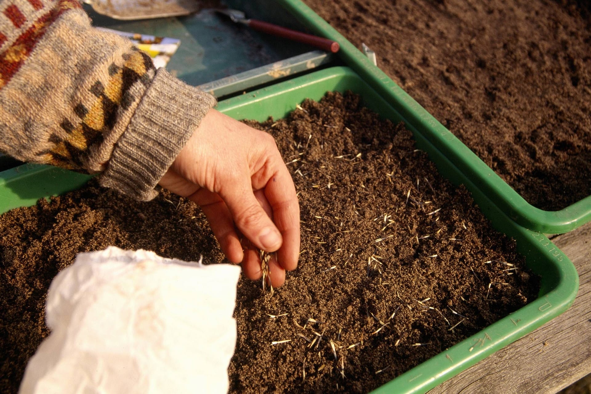 Anzucht von Jungpflanzen: Nicht viele Pflanzen sollten so früh im Jahr schon ausgesät werden.