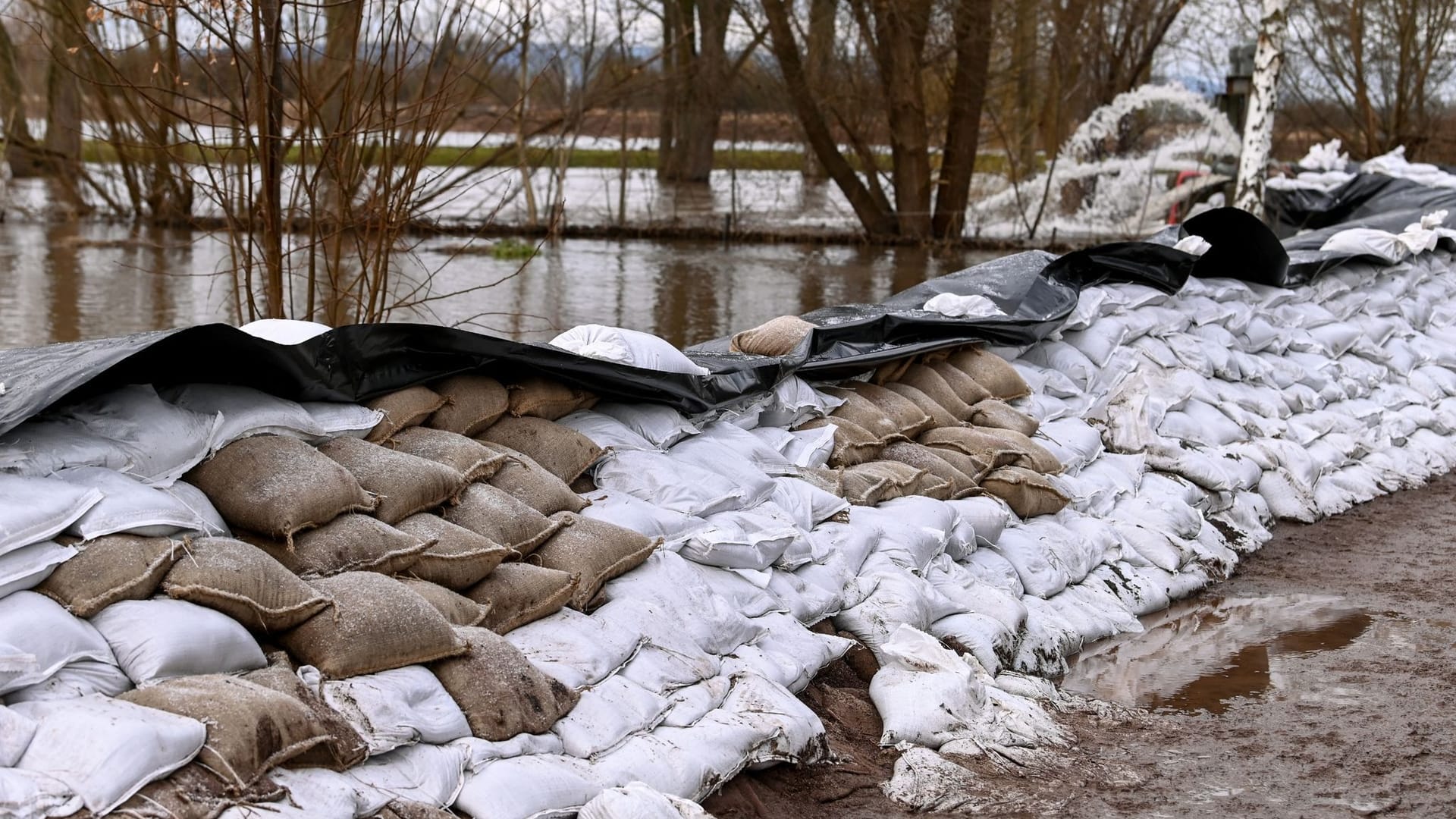 Hochwasser in Sachsen-Anhalt - Oberröblingen Hochwasser in Sachsen-Anhalt - Oberröblingen