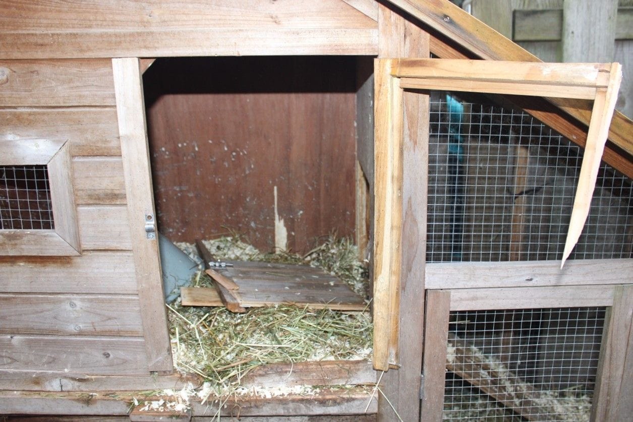 Der aufgebrochene Kaninchenstall: Hier wurden in der Nacht von Samstag auf Sonntag zwei Tiere entwendet. Die Polizei Hagen sucht nach Zeugen.