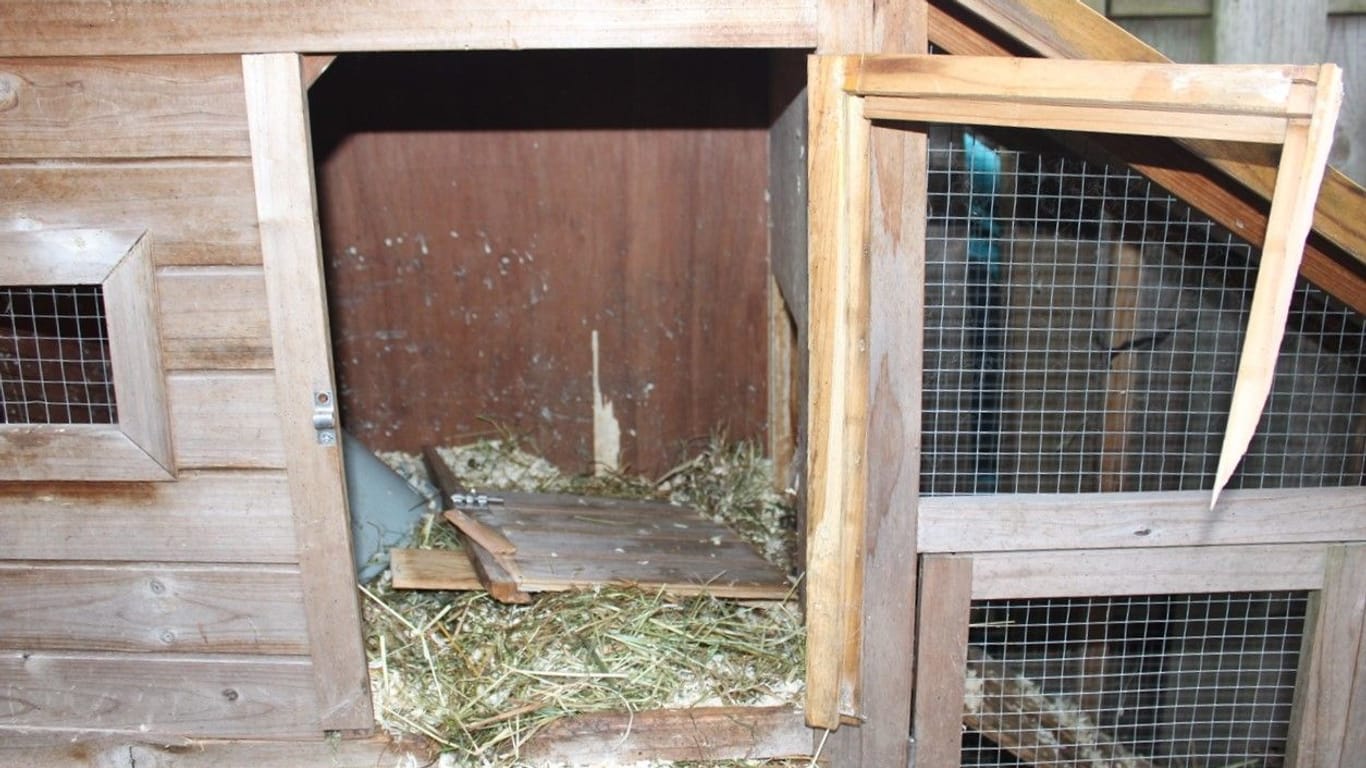 Der aufgebrochene Kaninchenstall: Hier wurden in der Nacht von Samstag auf Sonntag zwei Tiere entwendet. Die Polizei Hagen sucht nach Zeugen.