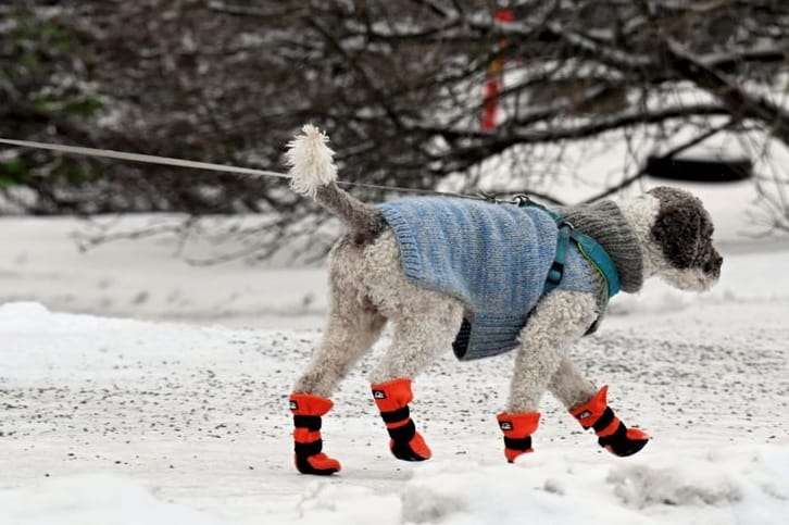 Gassigehen bei eisigem Wetter in Helsinki: Den Norden Europas hat eine heftige Kältewelle erwischt.