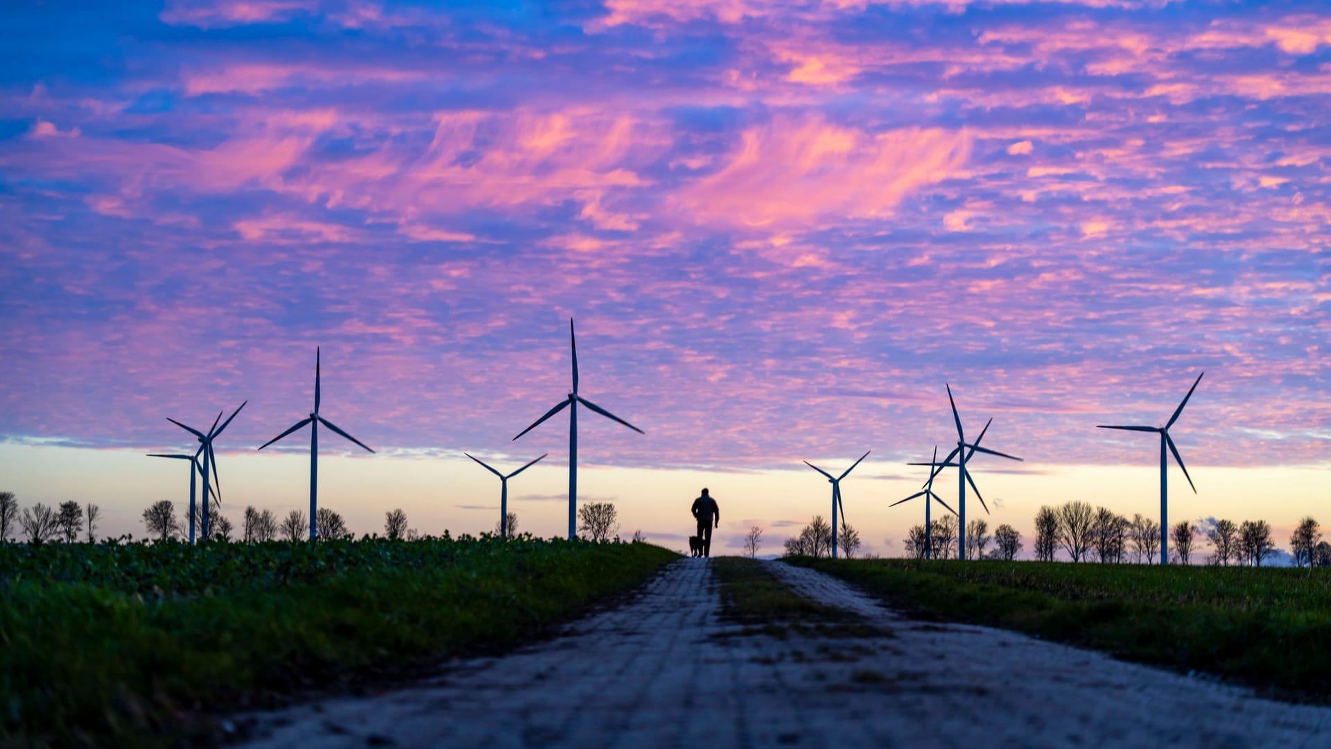 Windräder im Morgengrauen (Symbolbild): Ein höherer CO2-Preis schlägt sich auch auf die Preise von Ökostromanbietern durch.