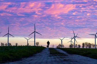 Windräder im Morgengrauen (Symbolbild): Ein höherer CO2-Preis schlägt sich auch auf die Preise von Ökostromanbietern durch.
