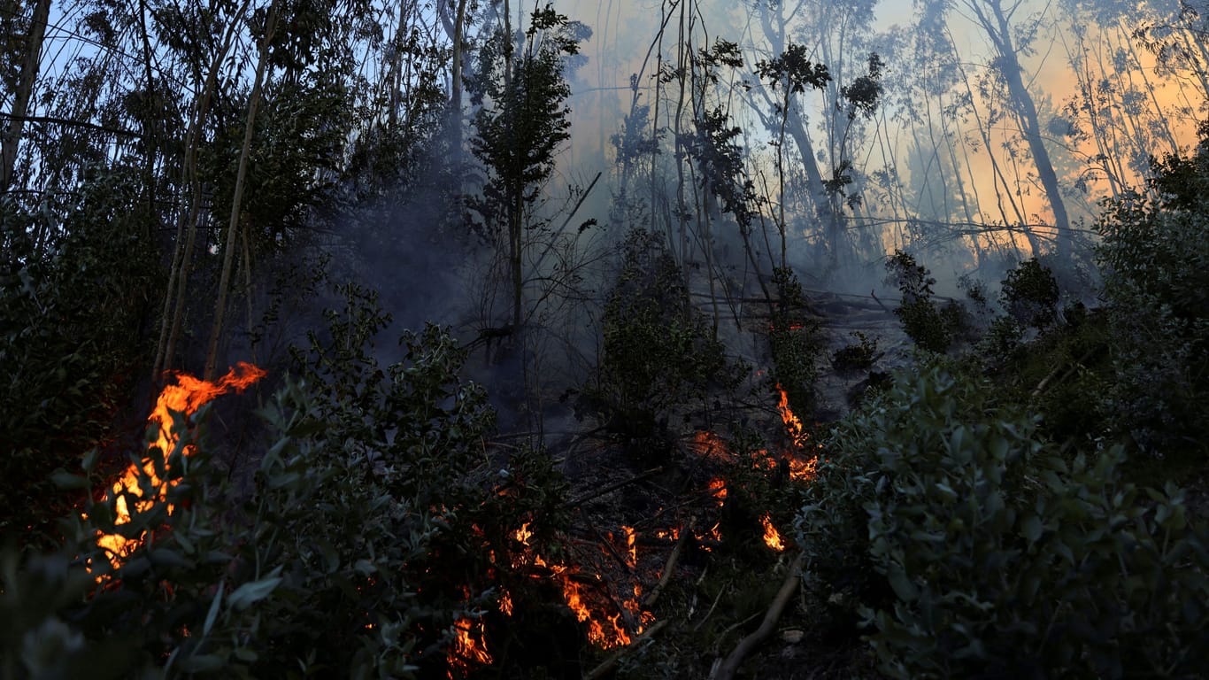 COLOMBIA-ENVIRONMENT/FIRE