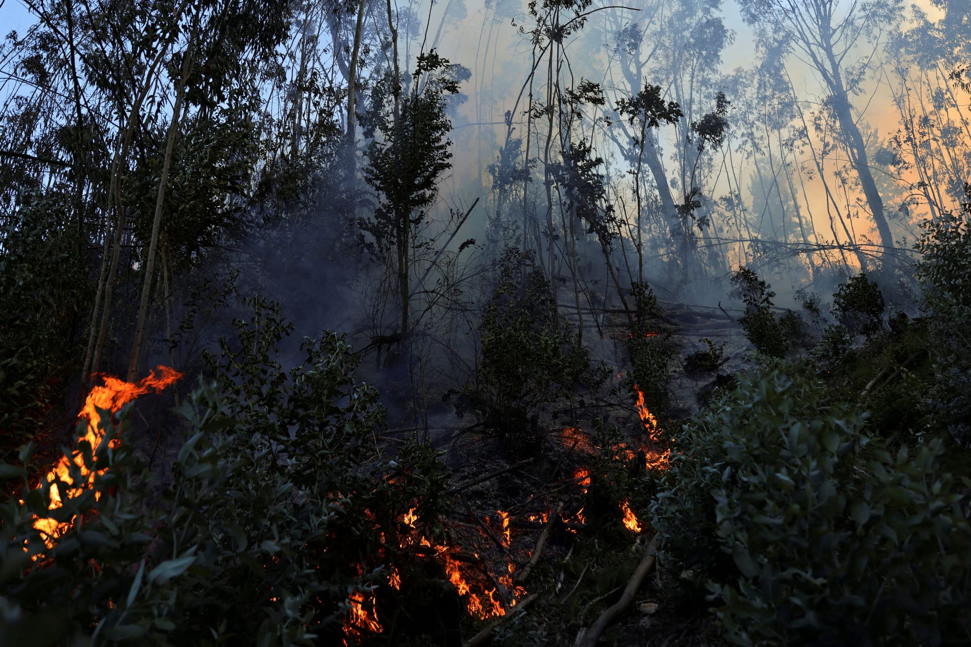 COLOMBIA-ENVIRONMENT/FIRE