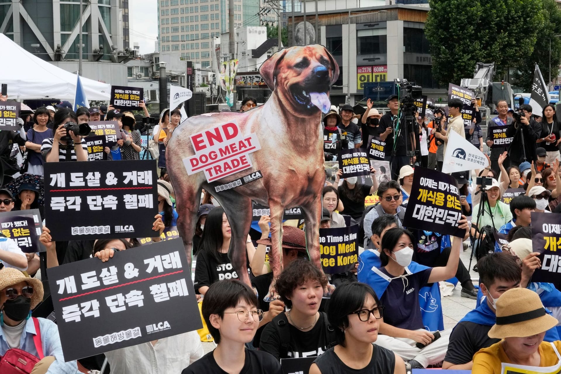 Südkorea will Verzehr von Hundefleisch ein Ende setzen