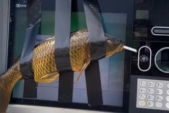 Ein Fisch an einem Geldautomaten: Einige der festgeklebten Fische scheinen noch gelebt zu haben, bei Instagram wurden daraufhin Vorwürfe laut, der "Fisch-Bandit" sei ein Psychopath.