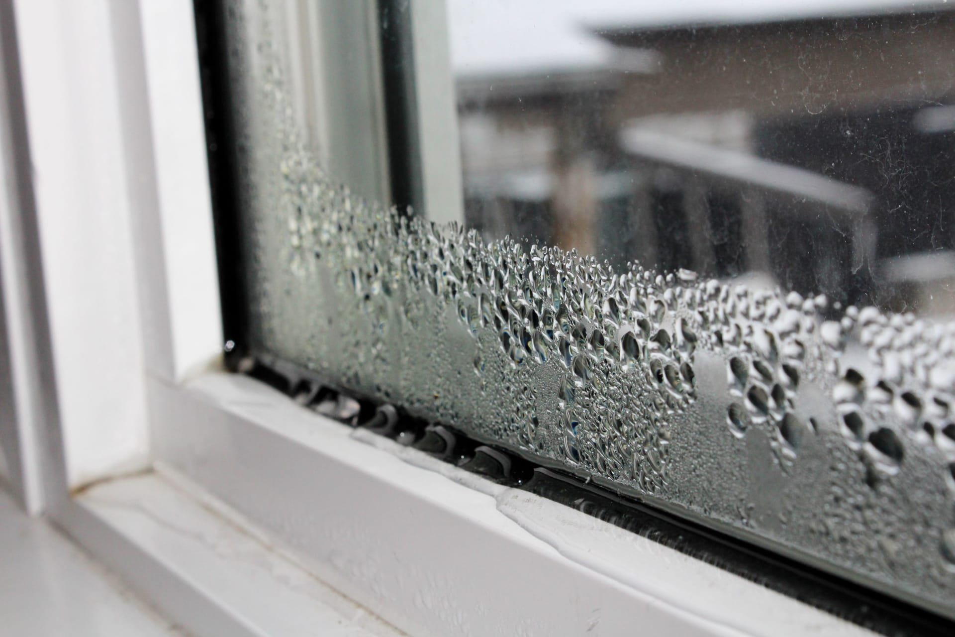 Kondenswasser: Vor allem über Nacht sammelt sich Schwitzwasser am Fenster ab.