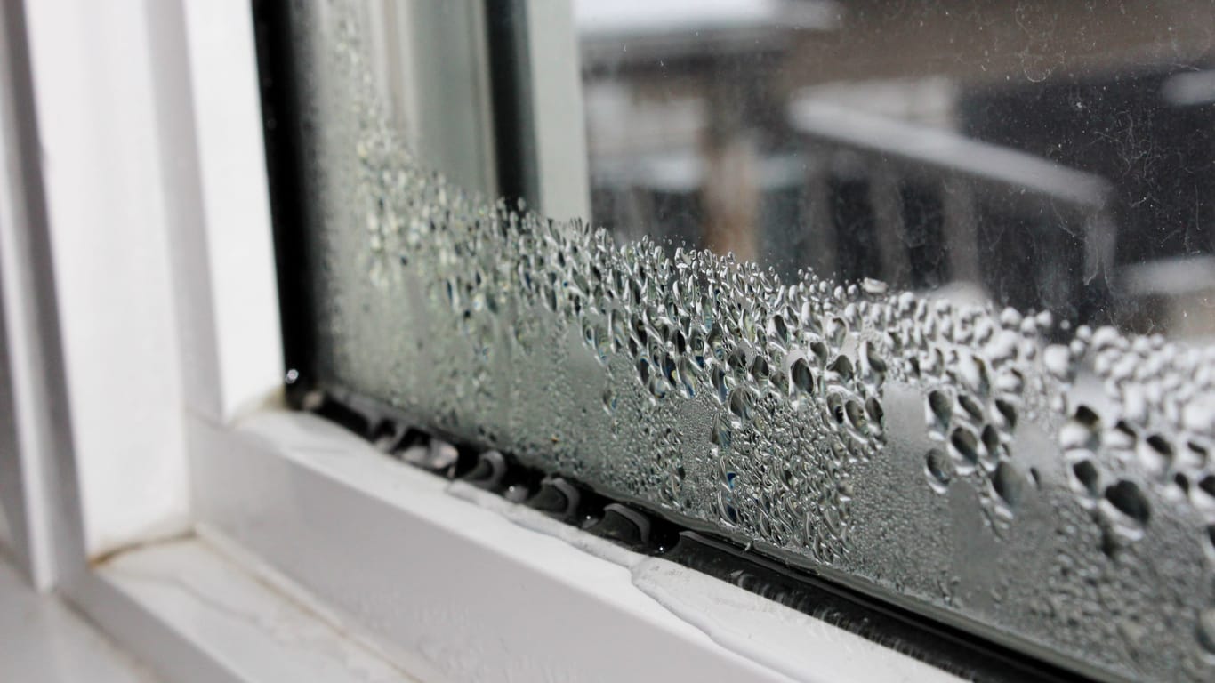 Kondenswasser: Vor allem über Nacht sammelt sich Schwitzwasser am Fenster ab.