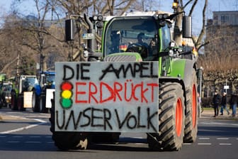 Sternfahrt nach Frankfurt am Main: Rund 600 Landwirte fuhren zu einer Kundgebung gegen die Agrarpolitik der Bundesregierung.