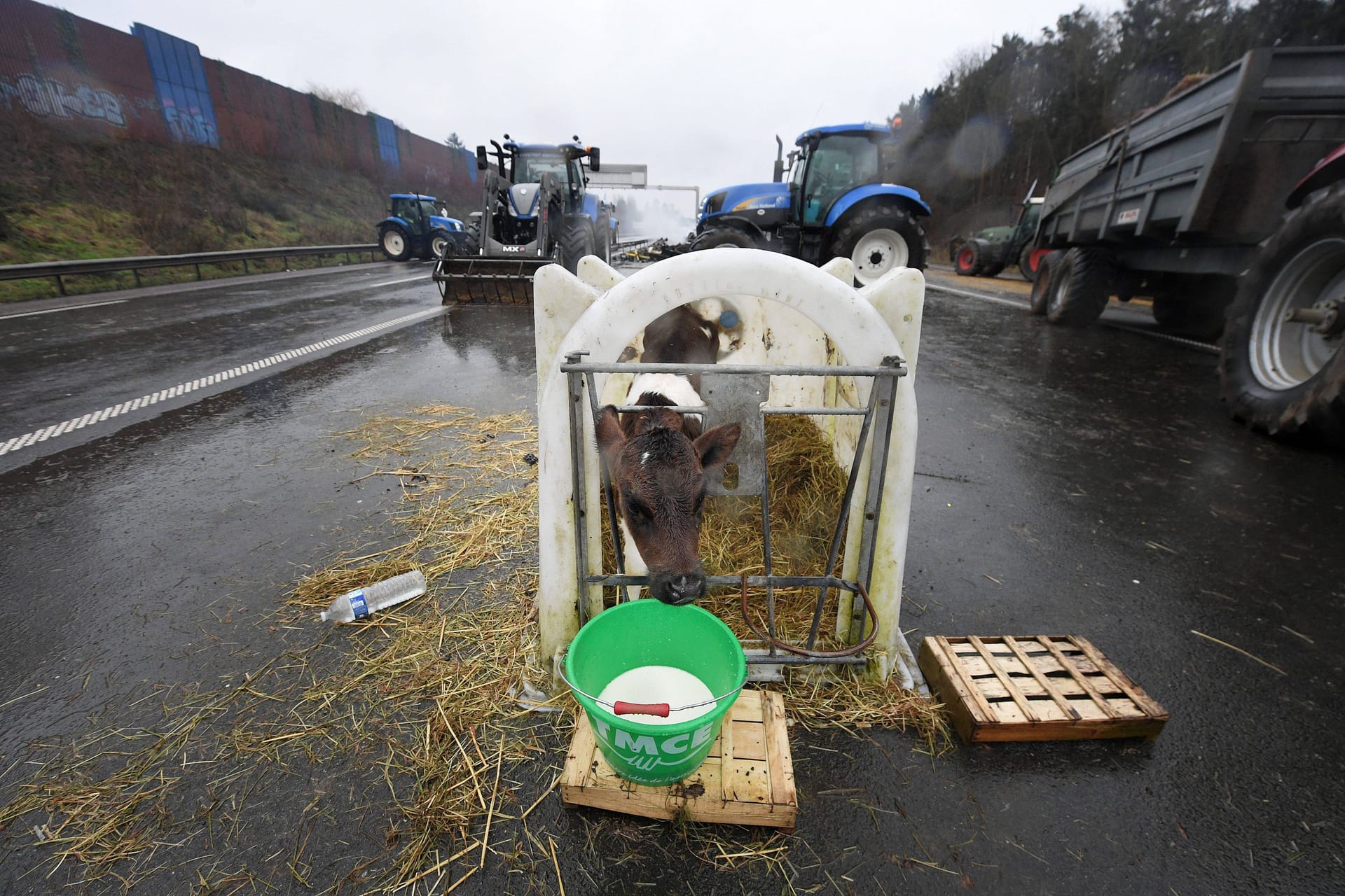 Französische Bauern blockieren eine Autobahn: Die Proteste richten sich gegen die Sparmaßnahmen der Regierung.