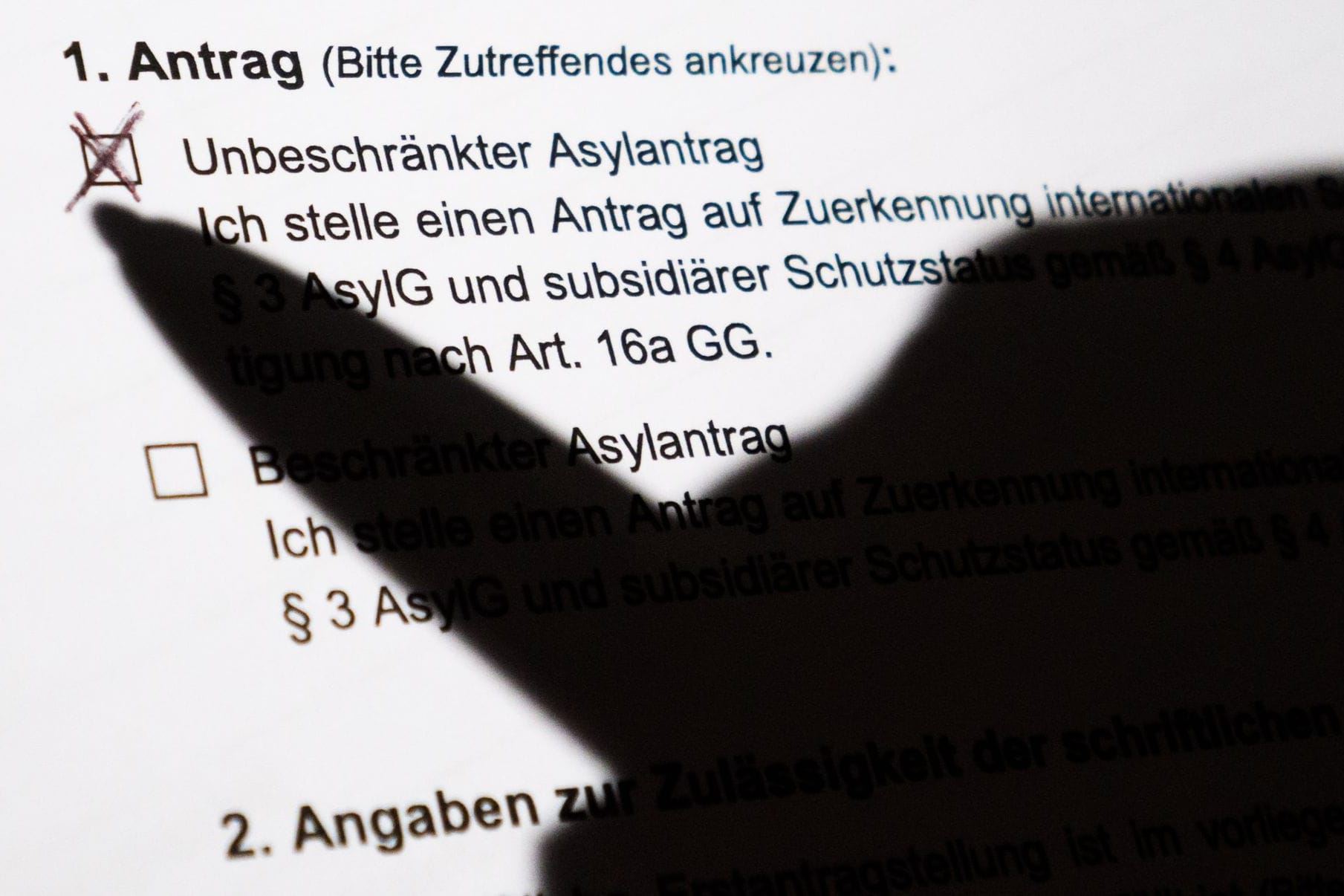 Asylantrag