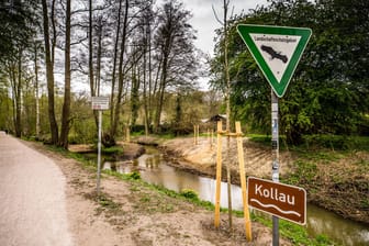 Kollau in Niendorf: Auch hier droht Hochwasser.