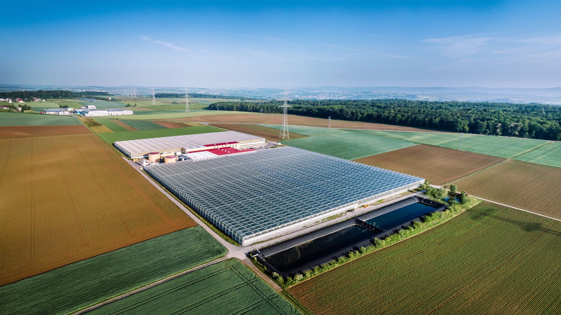 Die Gewächshäuser von Hagdorn bei Ludwigsburg: Von hier kam das pinke Licht.