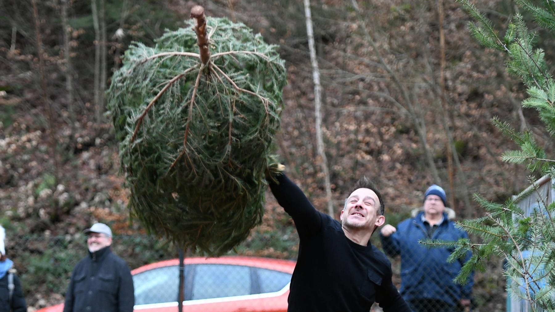 Irish woman sued insurance company after car accident – photo of Christmas tree throwing raises doubts