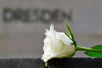 Dresden: Eine weiße Rose als Symbol der Erinnerung liegt vor der Stele "Dresden" während einer Kranzniederlegung auf dem Heidefriedhof. In der Stadt finden den ganzen Tag Gedenkveranstaltungen in Erinnerung an den 79. Jahrestag der Bombardierung von Dresden statt