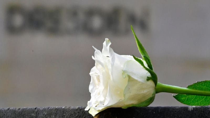 Dresden: Eine weiße Rose als Symbol der Erinnerung liegt vor der Stele "Dresden" während einer Kranzniederlegung auf dem Heidefriedhof. In der Stadt finden den ganzen Tag Gedenkveranstaltungen in Erinnerung an den 79. Jahrestag der Bombardierung von Dresden statt