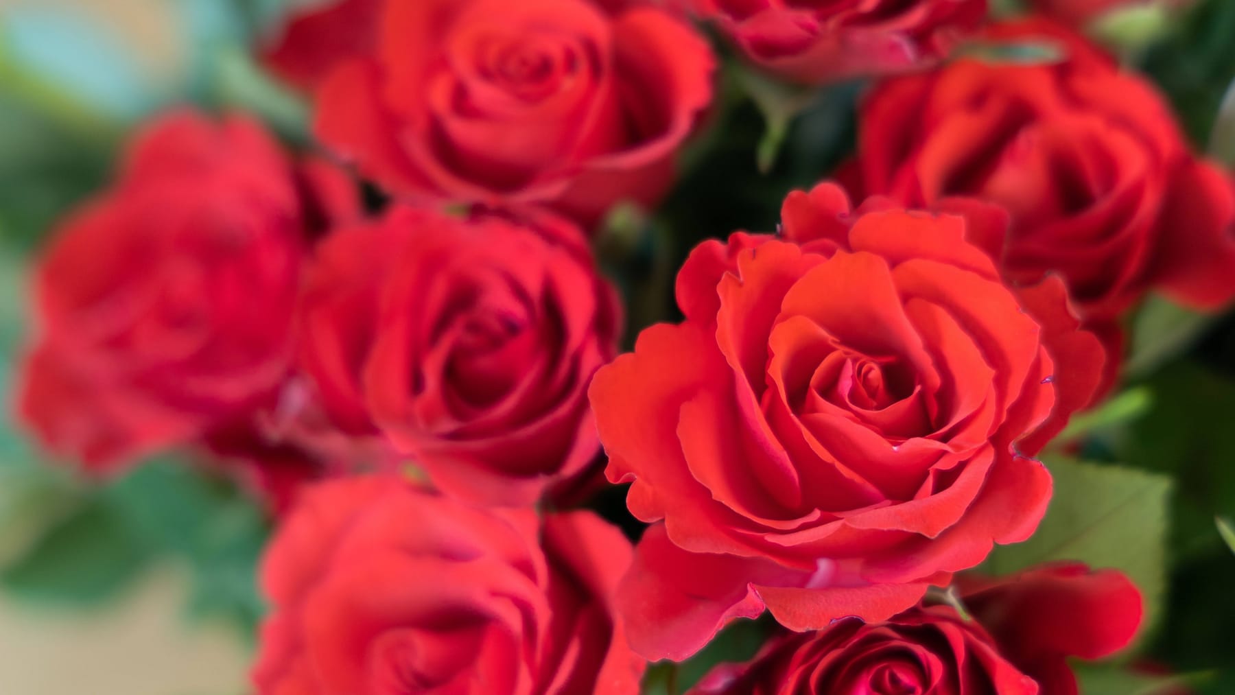 That's why the flowers don't smell anymore these days TIme News