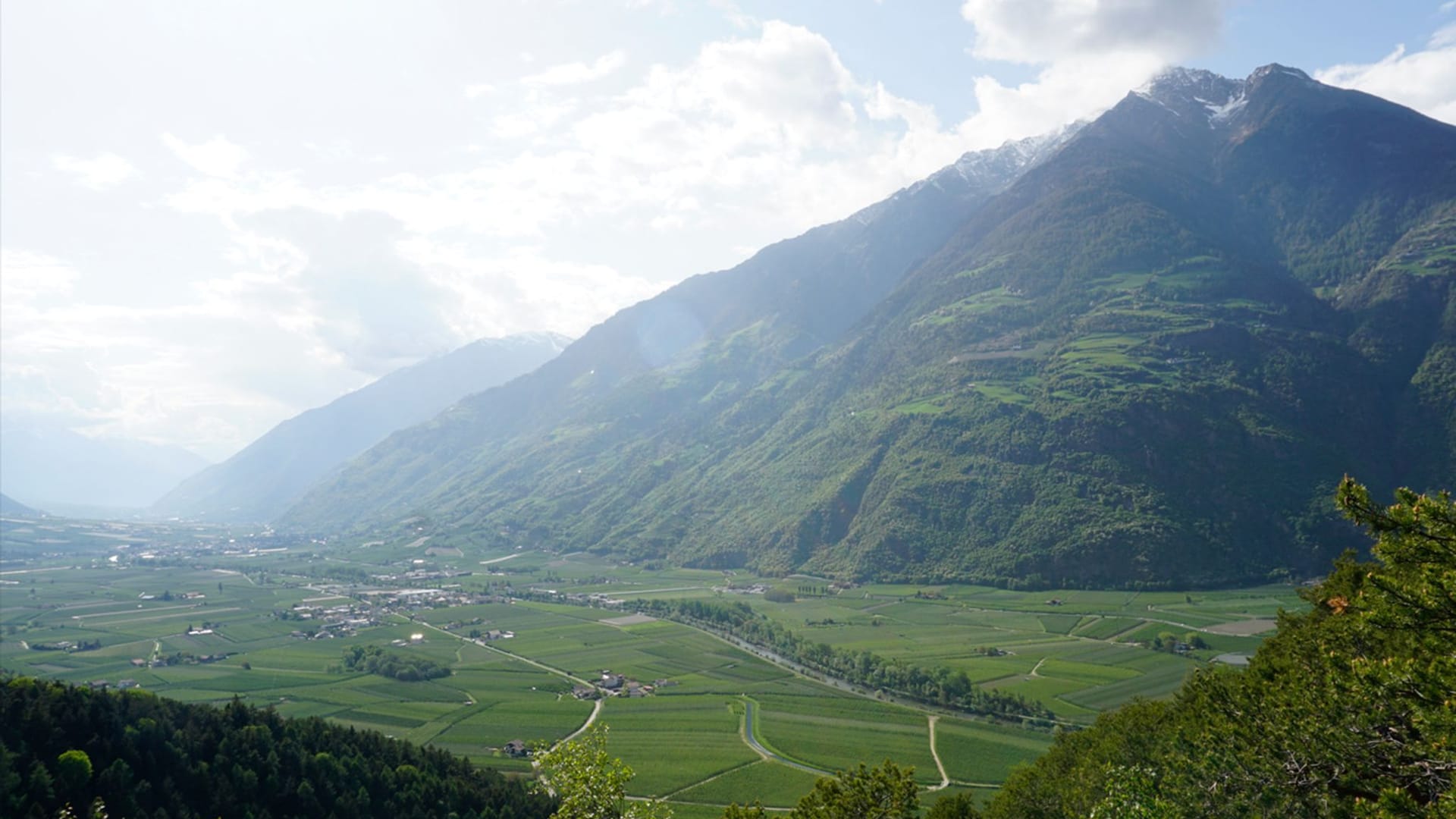 Apfelplantagen im Vinschgau