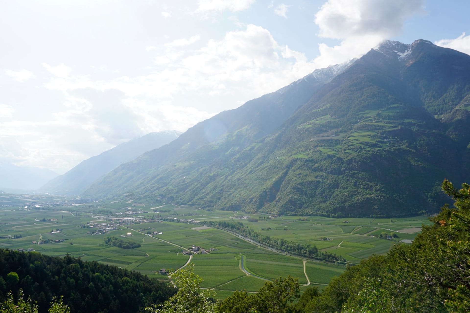 Apfelplantagen im Vinschgau