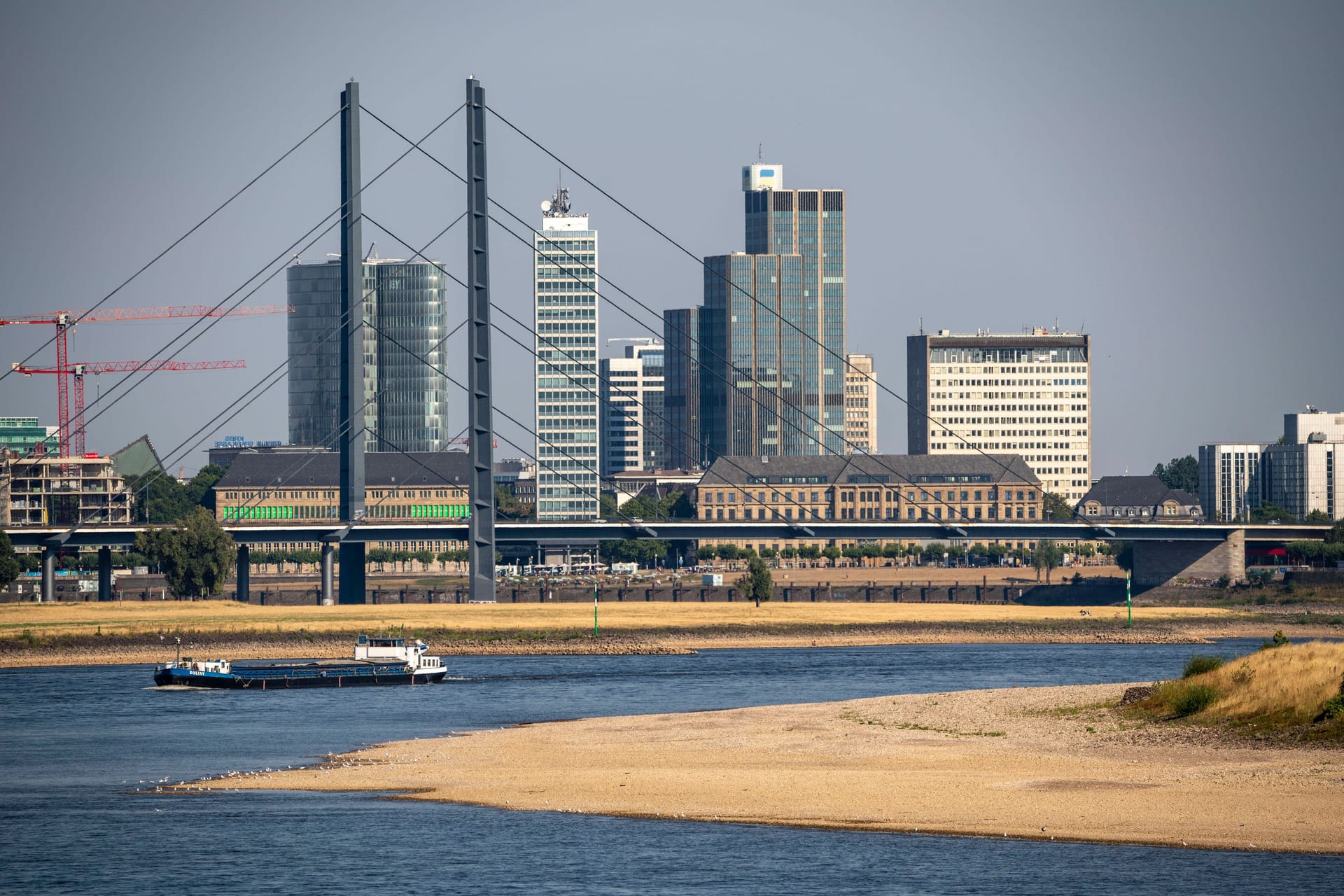 Rhein bei Düsseldorf (Archivbild): Der Klimawandel könnte die Stadt besonders hart treffen.