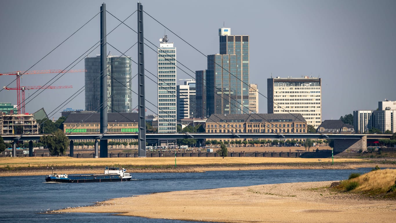 Rhein bei Düsseldorf (Archivbild): Der Klimawandel könnte die Stadt besonders hart treffen.