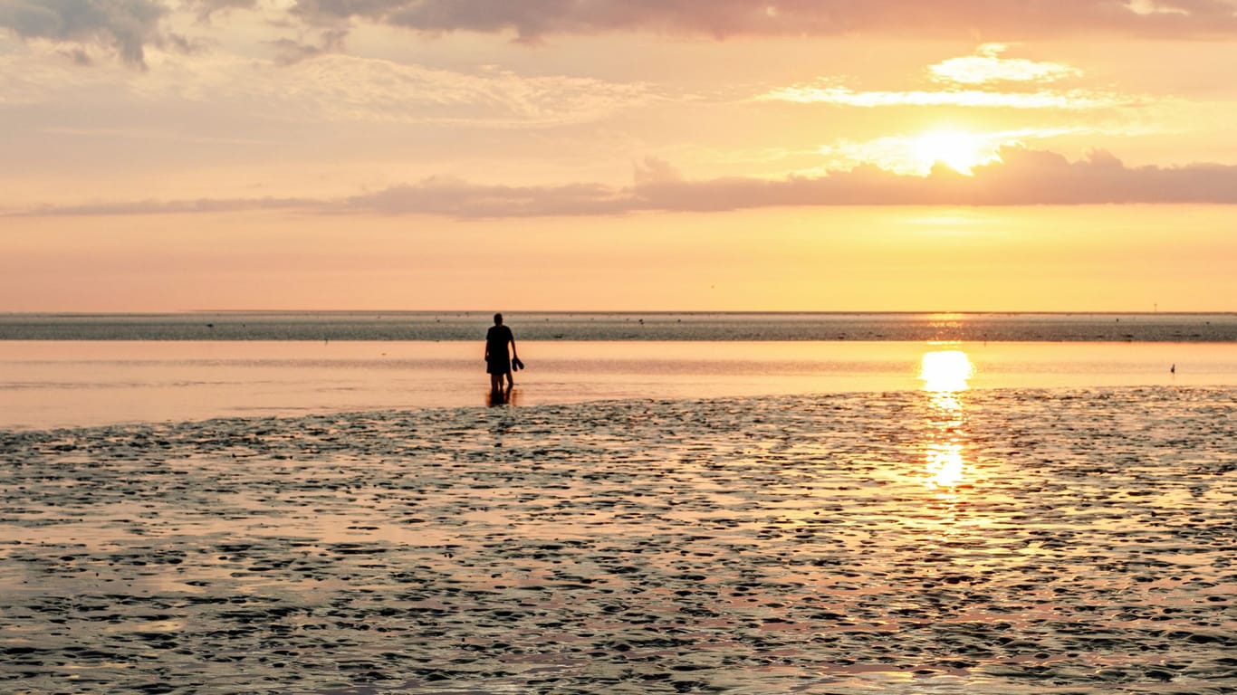 Eine Person steht im Wattenmeer (Symbolbild): Die Frau war alleine auf eine Wattwanderung gegangen.